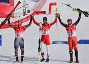 米兰体育官网-包含奥地利滑雪队全员发挥出色，获得银牌的词条