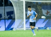 米兰体育官网-雄狮队在德甲比赛中发挥出色，战胜对手的简单介绍