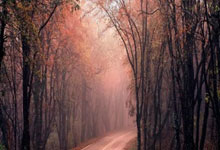 米兰体育官网-山城铁血！重庆斯威绝境破局，三万人见证逆袭之火重燃